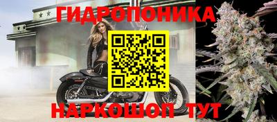 твердый Обь