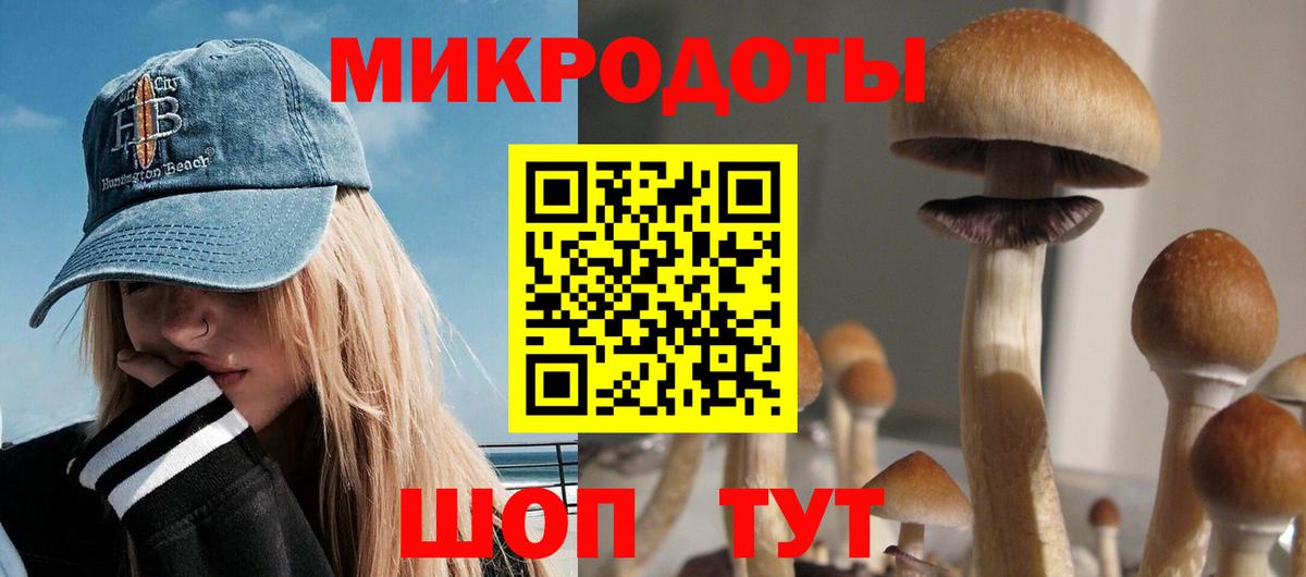 Галлюциногенные грибы GOLDEN TEACHER Ступино